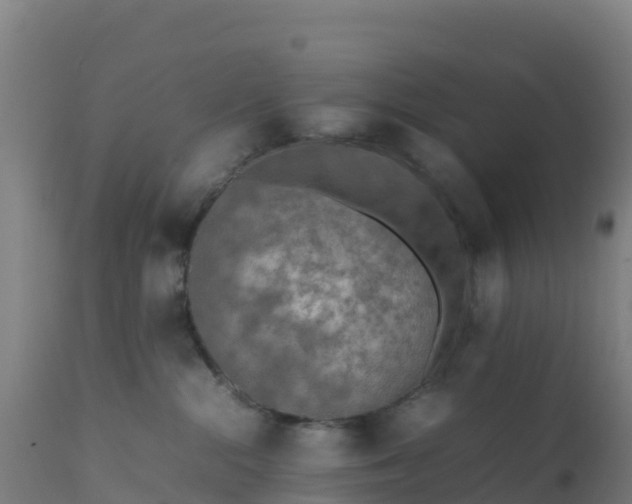 X0000112410284200908281822