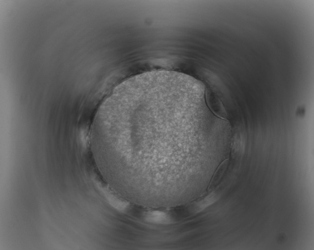 X0000112410285200908281822