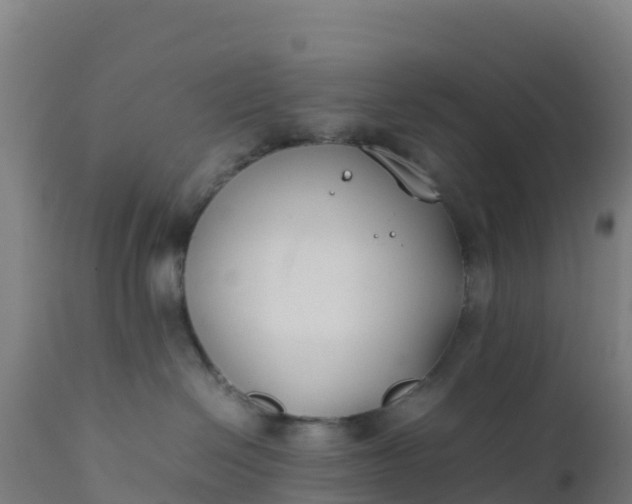 X0000112410286200908281822