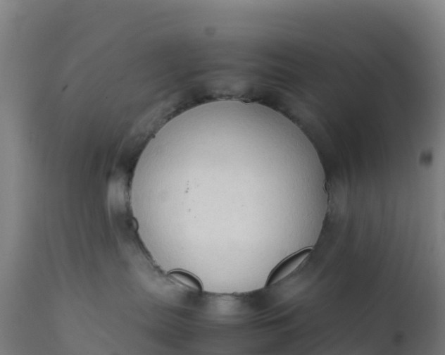 X0000112410287200908281822