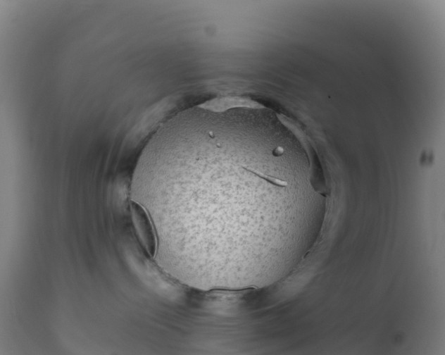 X0000112410288200908281822