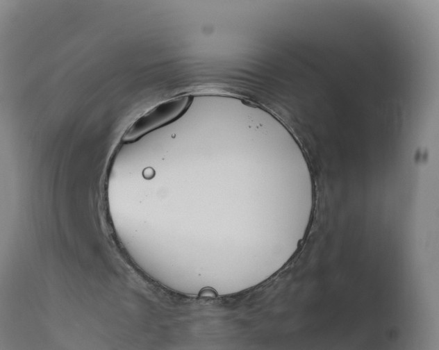 X0000112410289200908281821