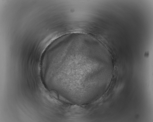 X0000112410290200908281821