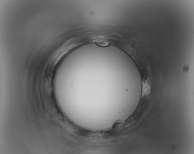 X0000112410291200908281821