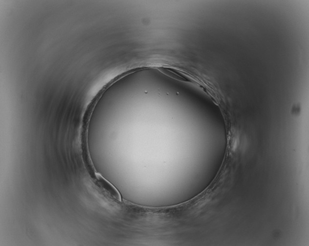 X0000112410292200908281821