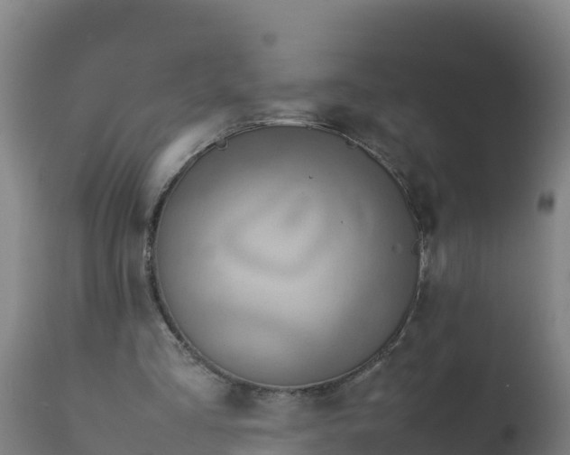 X0000112410293200908281821