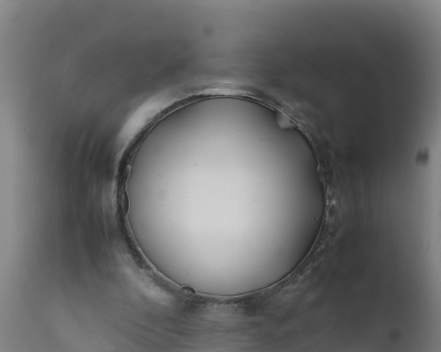 X0000112410296200908281821