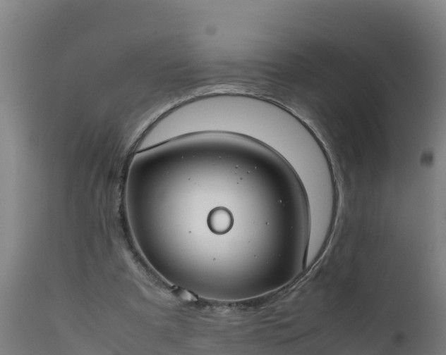 X0000112410297200908281821