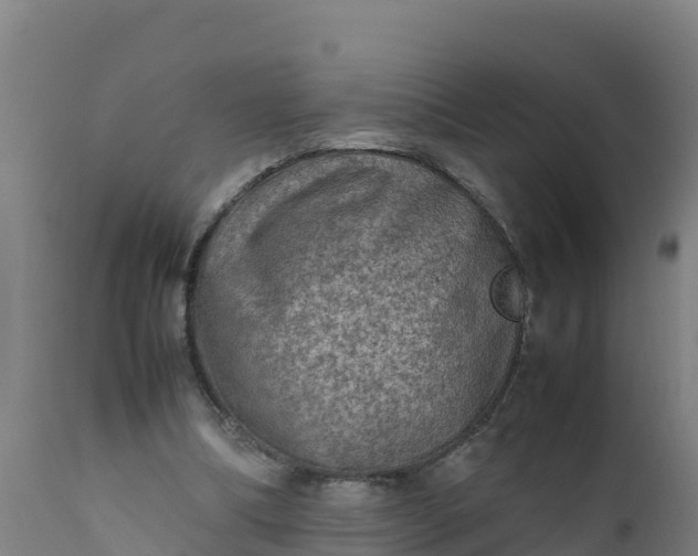 X0000112410298200908281821