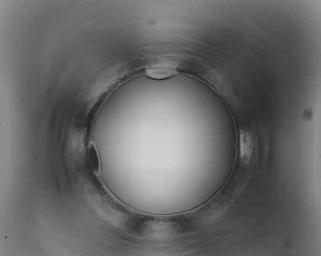 X0000112410300200908281821