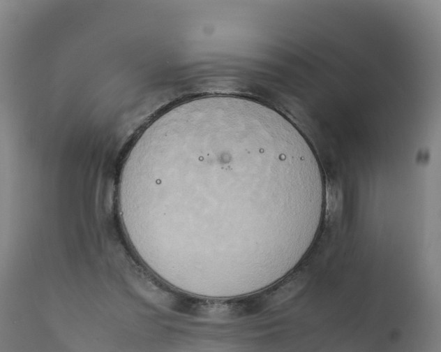 X0000112410301200908281821