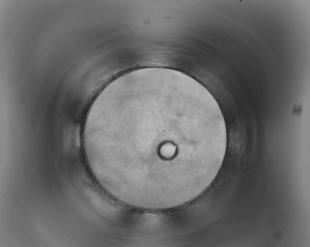 X0000112410302200908281821