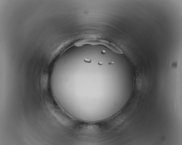 X0000112410304200908281821