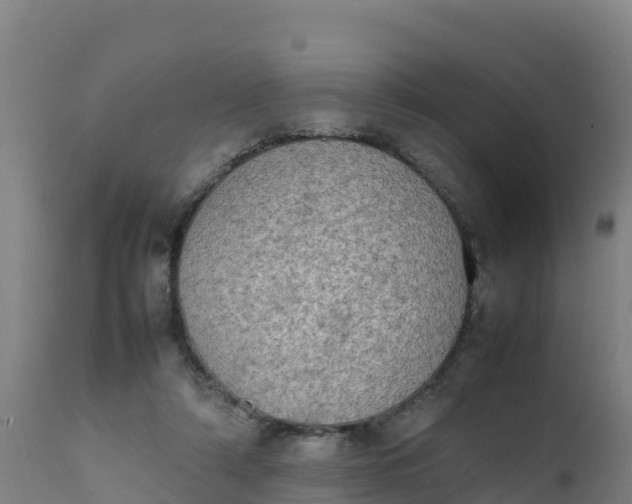 X0000112410306200908281821