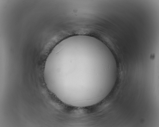 X0000112410307200908281821