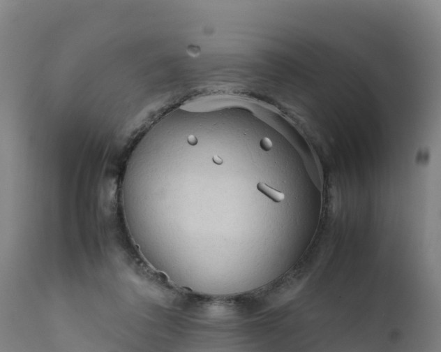 X0000112410308200908281821