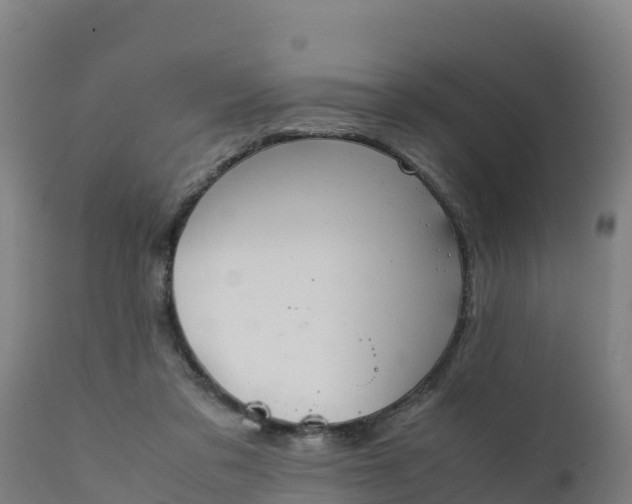 X0000112410309200908281821