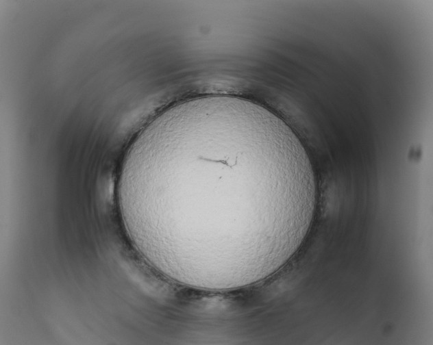 X0000112410310200908281821