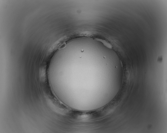 X0000112410312200908281821