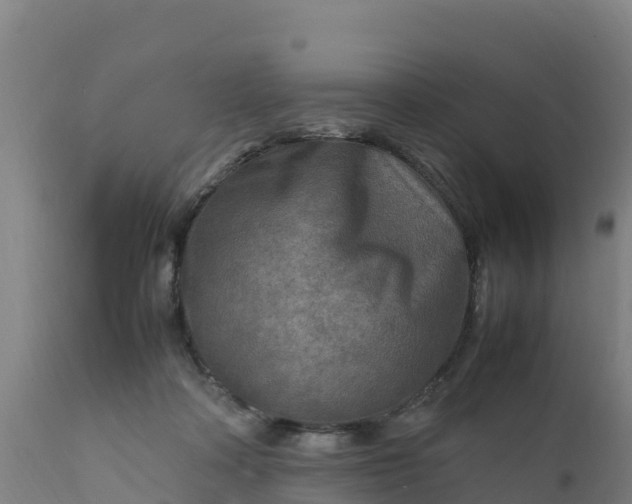 X0000112410314200908281821