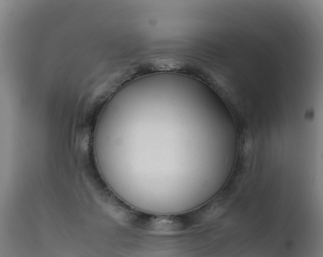 X0000112410315200908281821