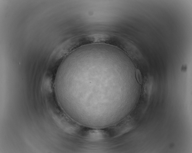 X0000112410316200908281821