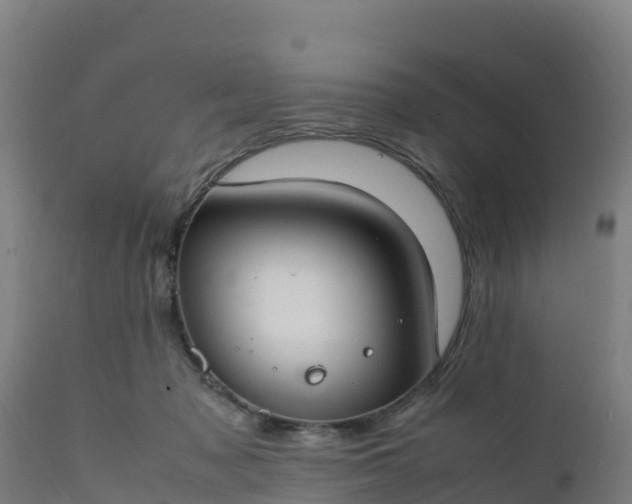 X0000112410317200908281820