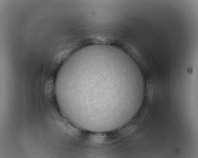 X0000112410318200908281820