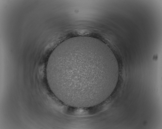 X0000112410319200908281820