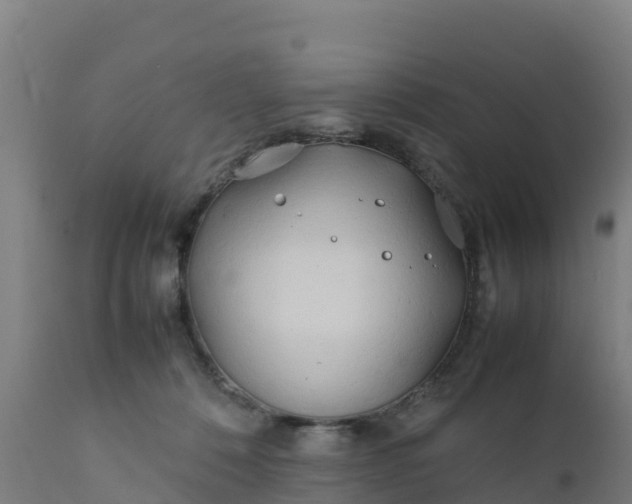 X0000112410320200908281820