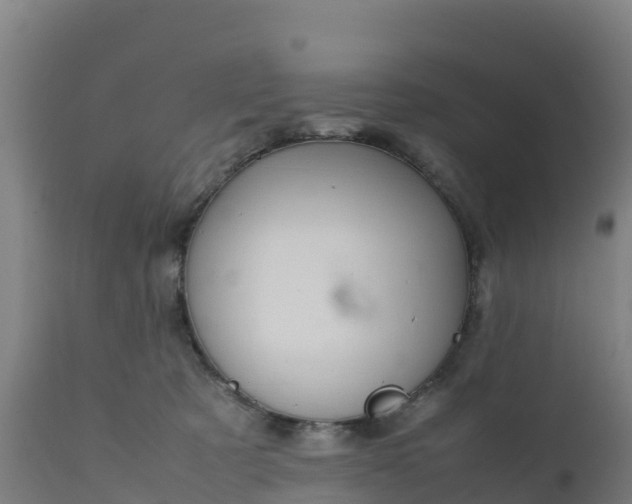 X0000112410321200908281820