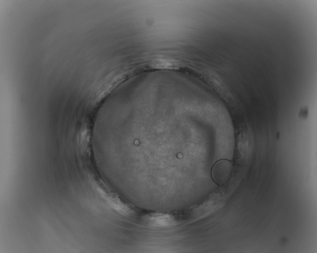 X0000112410322200908281820