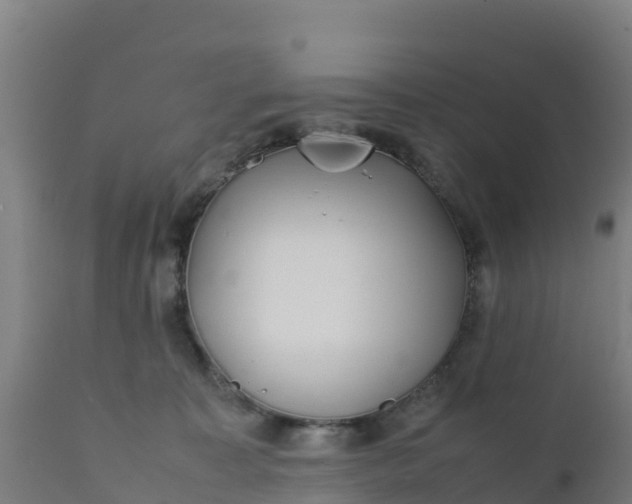 X0000112410323200908281820