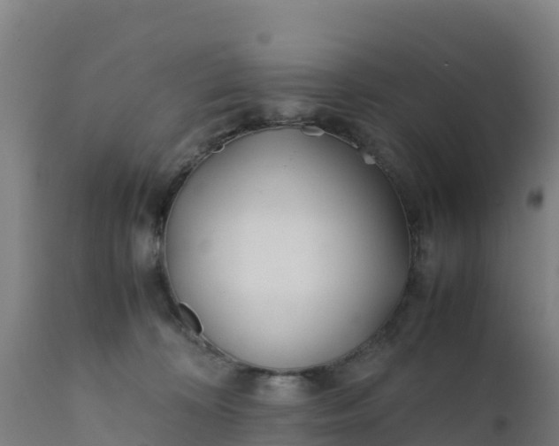 X0000112410324200908281820