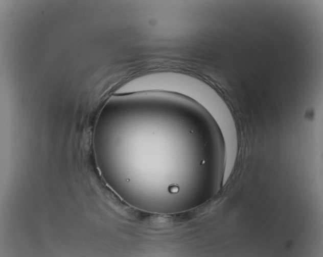 X0000112410325200908281820