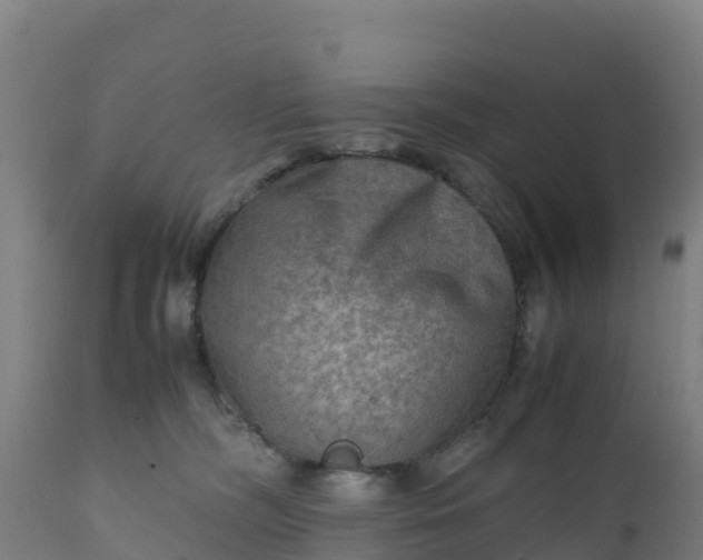 X0000112410326200908281820