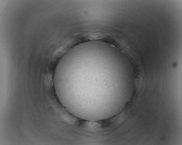 X0000112410327200908281820