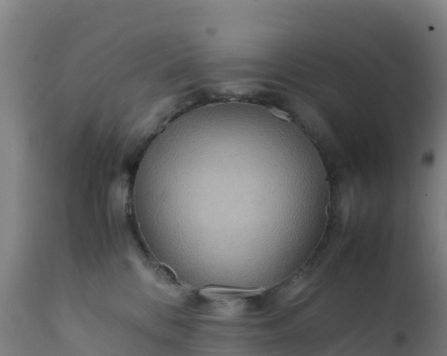 X0000112410328200908281820