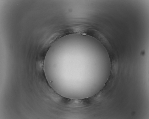 X0000112410329200908281820