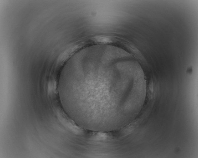 X0000112410330200908281820