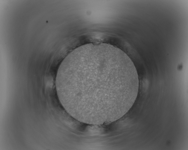 X0000112410331200908281820