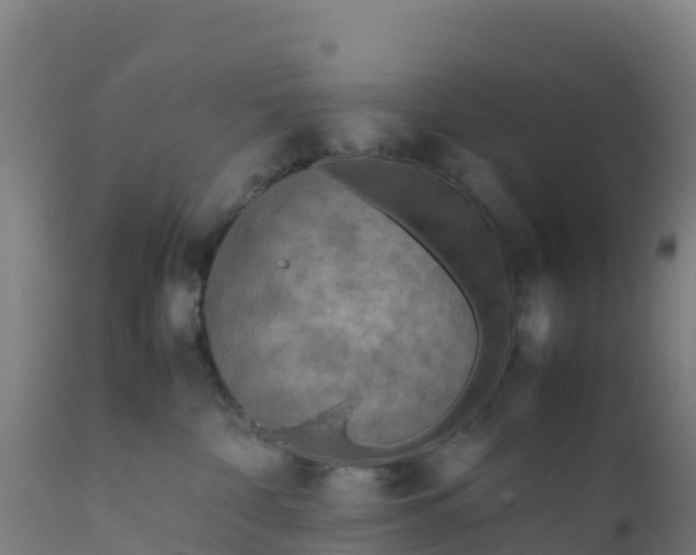 X0000112410332200908281820