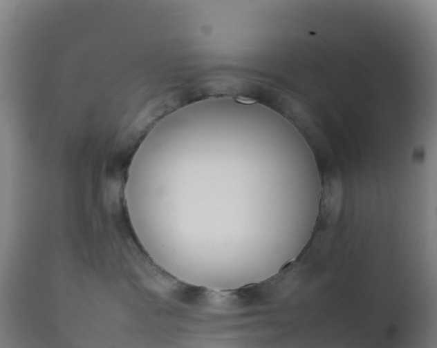 X0000112410333200908281820