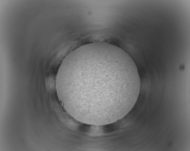 X0000112410335200908281820