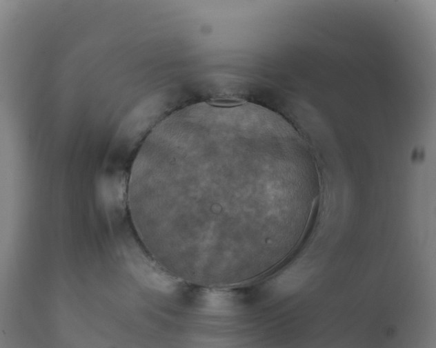 X0000112410336200908281820