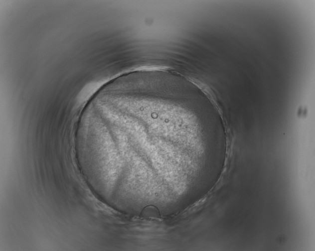 X0000112410337200908281819