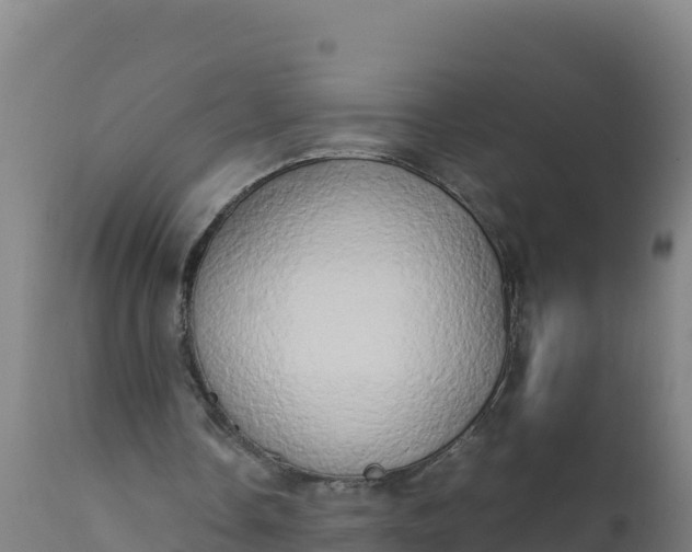 X0000112410338200908281819