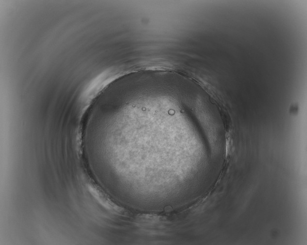 X0000112410339200908281819