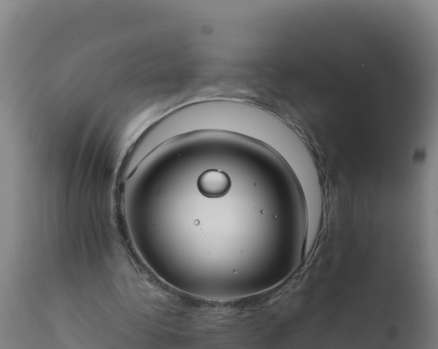 X0000112410340200908281819