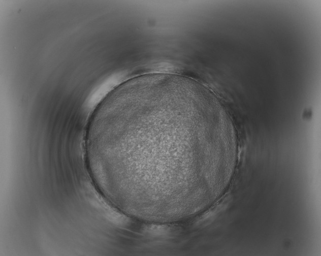 X0000112410341200908281819